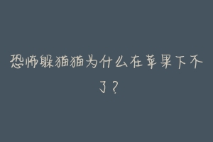 恐怖躲猫猫为什么在苹果下不了？-动物百科