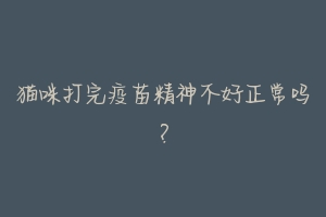 猫咪打完疫苗精神不好正常吗？-动物百科