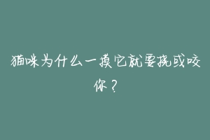 猫咪为什么一摸它就要挠或咬你?-动物百科