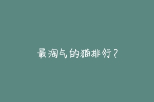 最淘气的猫排行?-动物百科