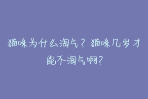 猫咪为什么淘气?猫咪几岁才能不淘气啊?-动物百科