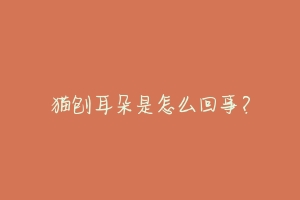 猫刨耳朵是怎么回事?-动物百科