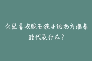 仓鼠喜欢躲在狭小的地方缩着睡代表什么?-动物百科