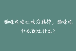 猫咪吃啥吐啥没精神,猫咪吃什么就吐什么?-动物百科