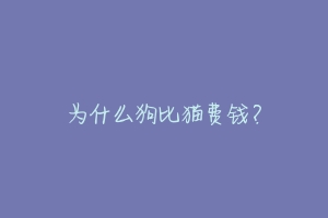 为什么狗比猫费钱?-动物百科