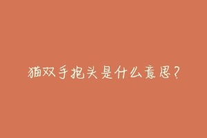猫双手抱头是什么意思?-动物百科