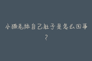 小猫老舔自己肚子是怎么回事?-动物百科