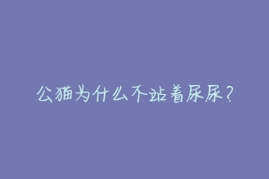 公猫为什么不站着尿尿?-动物百科