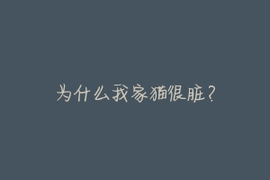 为什么我家猫很脏?-动物百科