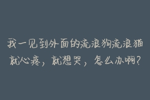 我一见到外面的流浪狗流浪猫就心疼,就想哭,怎么办啊?-动物百科