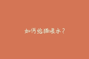 如何给猫喂水?-动物百科