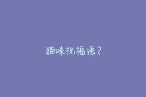猫咪祝福语?-动物百科