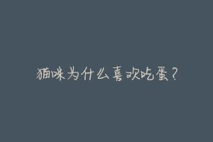 猫咪为什么喜欢吃蛋?-动物百科