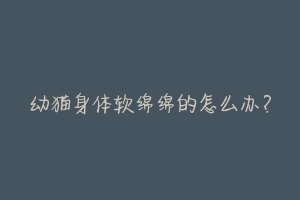 幼猫身体软绵绵的怎么办?-动物百科
