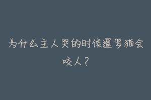 为什么主人哭的时候暹罗猫会咬人?-动物百科