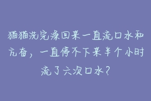猫猫洗完澡回来一直流口水和亢奋,一直停不下来半个小时流了六次口水?-动物百科