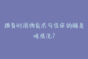 猫有时用俩前爪勾住你的腿是啥情况?-动物百科