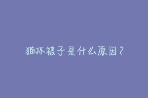 猫抓被子是什么原因?-动物百科