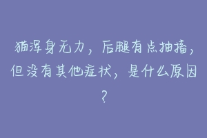 猫浑身无力,后腿有点抽搐,但没有其他症状,是什么原因?-动物百科