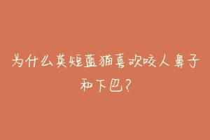 为什么英短蓝猫喜欢咬人鼻子和下巴?-动物百科