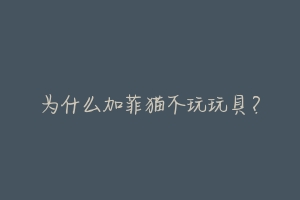 为什么加菲猫不玩玩具?-动物百科