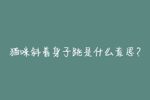 猫咪斜着身子跳是什么意思?-动物百科