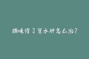 猫咪得了肾水肿怎么治?-动物百科