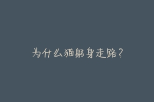 为什么猫躬身走路?-动物百科