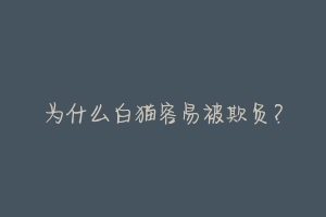 为什么白猫容易被欺负?-动物百科