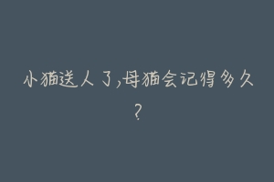 小猫送人了,母猫会记得多久?-动物百科