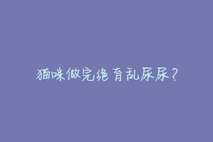 猫咪做完绝育乱尿尿?-动物百科