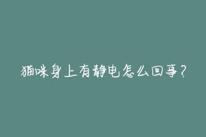 猫咪身上有静电怎么回事?-动物百科