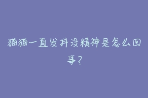 猫猫一直发抖没精神是怎么回事?-动物百科