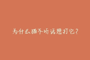 为什么猫不听话想打它？-动物百科