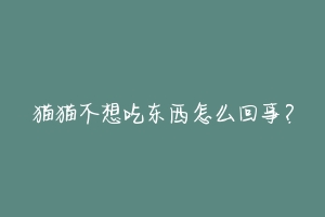 猫猫不想吃东西怎么回事？-动物百科