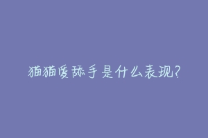 猫猫爱舔手是什么表现?-动物百科