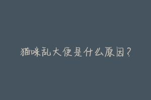 猫咪乱大便是什么原因?-动物百科