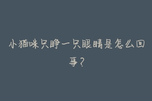 小猫咪只睁一只眼睛是怎么回事?-动物百科