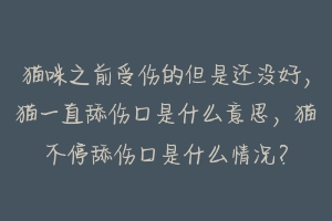 猫咪之前受伤的但是还没好,猫一直舔伤口是什么意思,猫不停舔伤口是什么情况?-动物百科