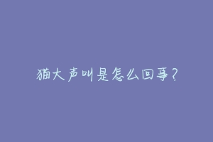 猫大声叫是怎么回事?-动物百科