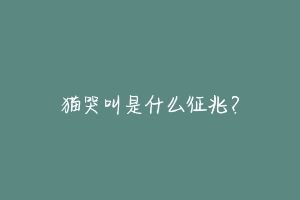 猫哭叫是什么征兆?-动物百科
