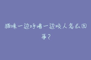 猫咪一边呼噜一边咬人怎么回事?-动物百科