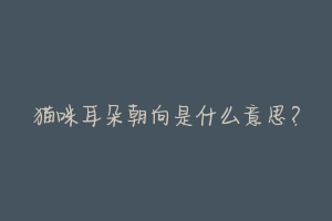 猫咪耳朵朝向是什么意思?-动物百科