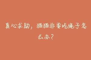 真心求助，猫猫非要吃绳子怎么办？-动物百科
