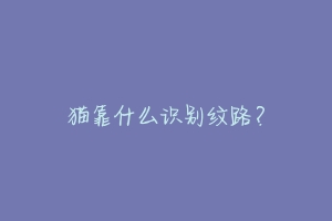 猫靠什么识别纹路？-动物百科