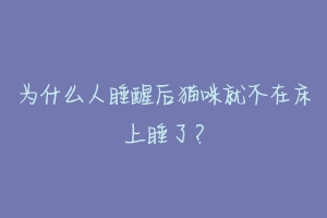 为什么人睡醒后猫咪就不在床上睡了？-动物百科