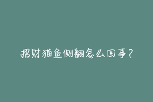 招财猫鱼侧翻怎么回事?-动物百科