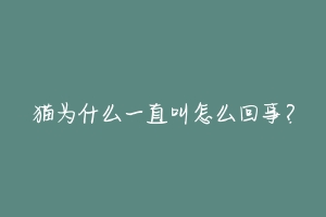 猫为什么一直叫怎么回事?-动物百科