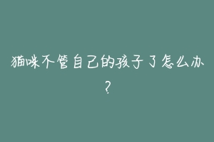 猫咪不管自己的孩子了怎么办?-动物百科