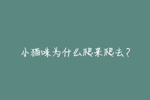 小猫咪为什么爬来爬去?-动物百科